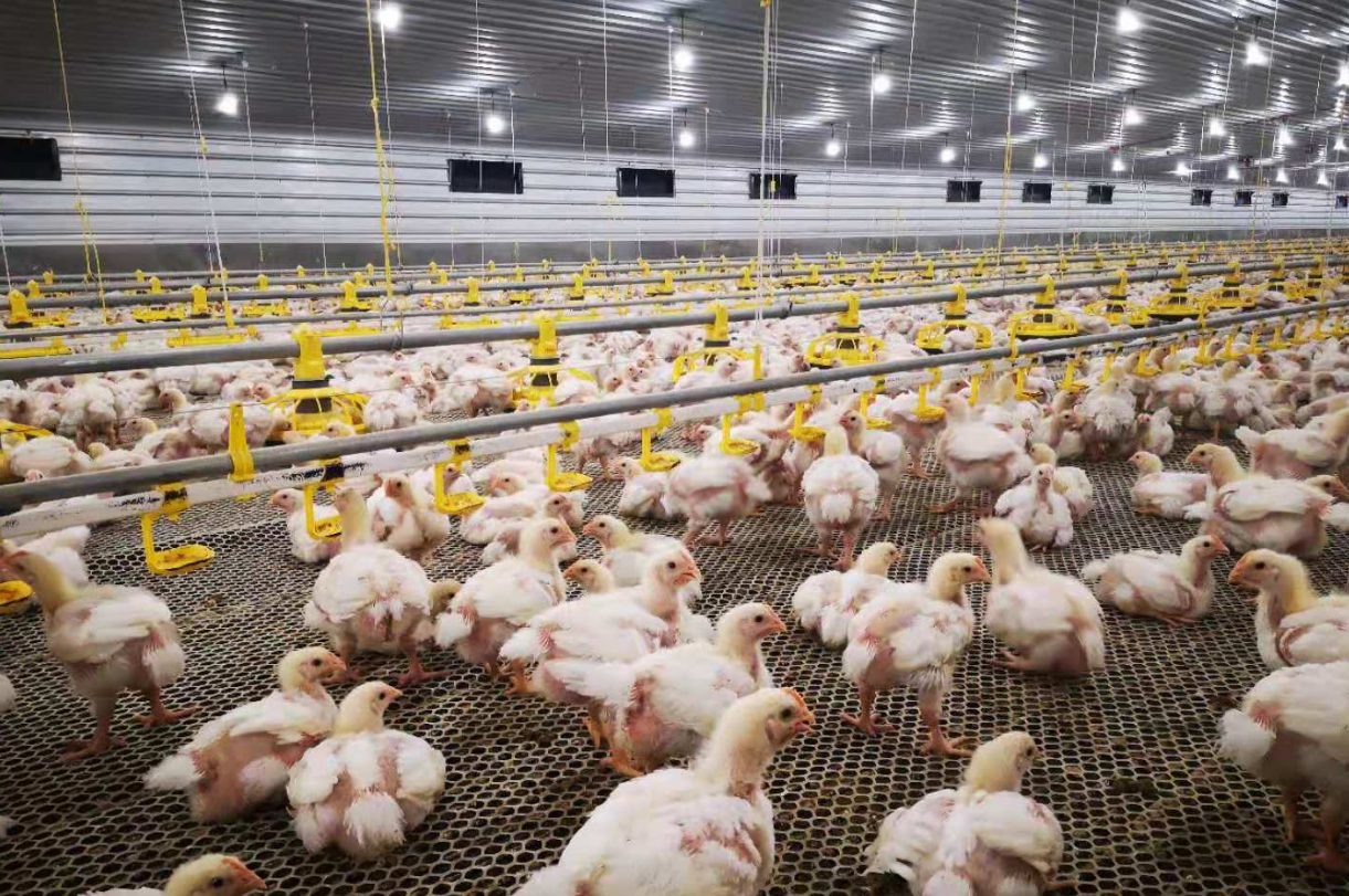 farm location selection